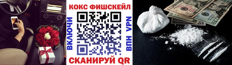Cocaine FishScale  Пенза 