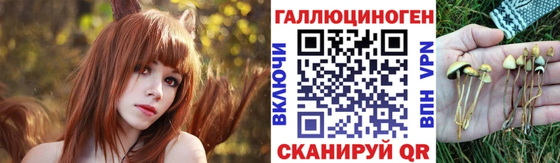 цена Пенза Псилоцибиновые грибы MAGIC MUSHROOMS